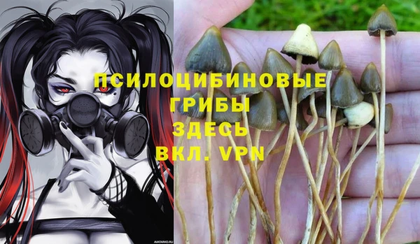 амфетамин Аркадак